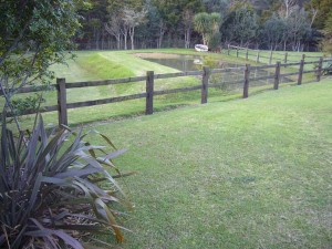 Pond and fencing
